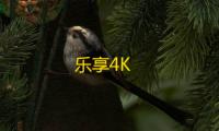乐享4K